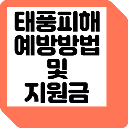 태풍 피해 예방 방법 및 지원금