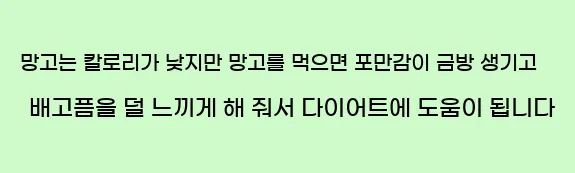  망고는 칼로리가 낮지만 망고를 먹으면 포만감이 금방 생기고 배고픔을 덜 느끼게 해 줘서 다이어트에 도움이 됩니다