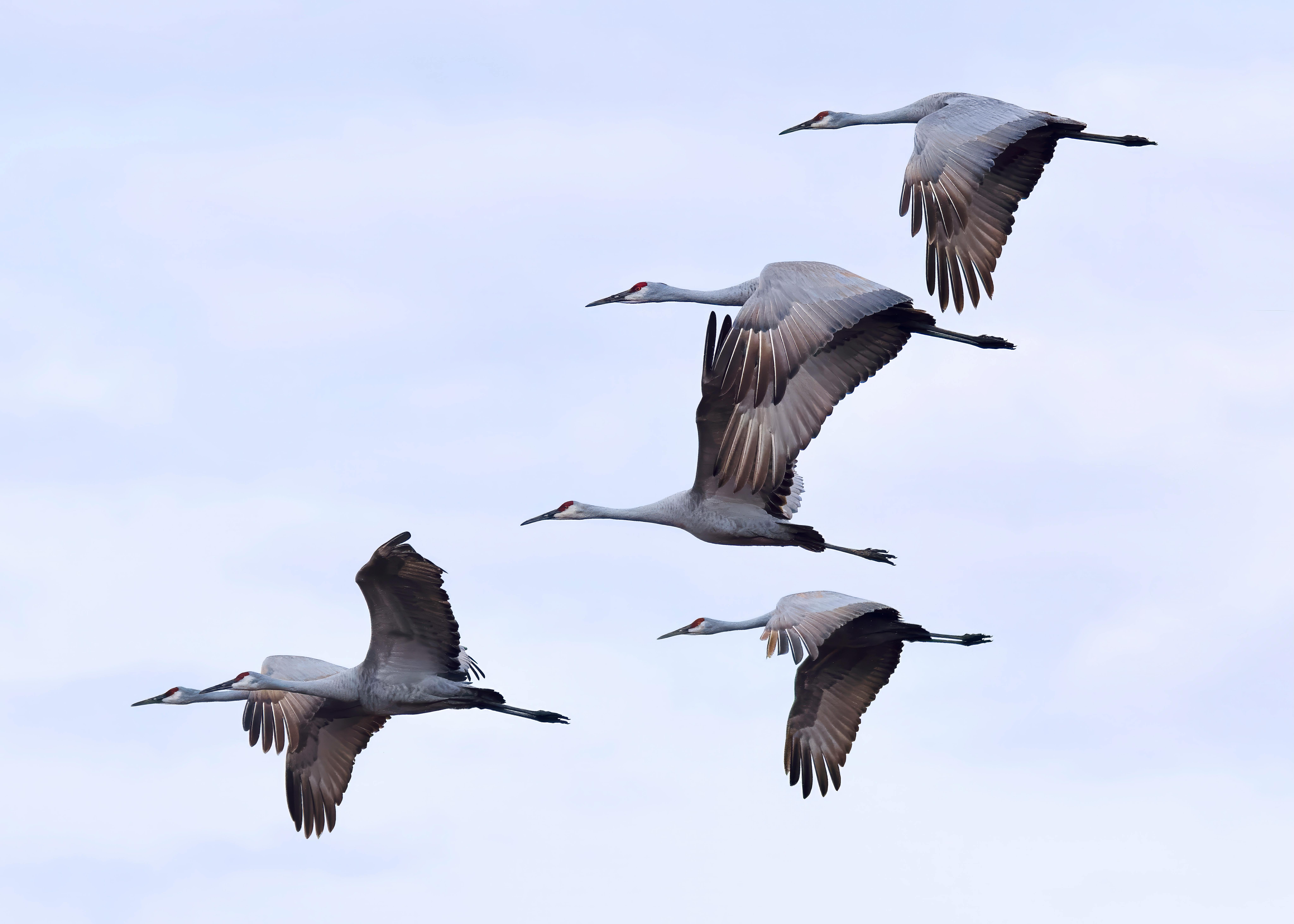 새 집으로 이사하는을 상징하는 이미지