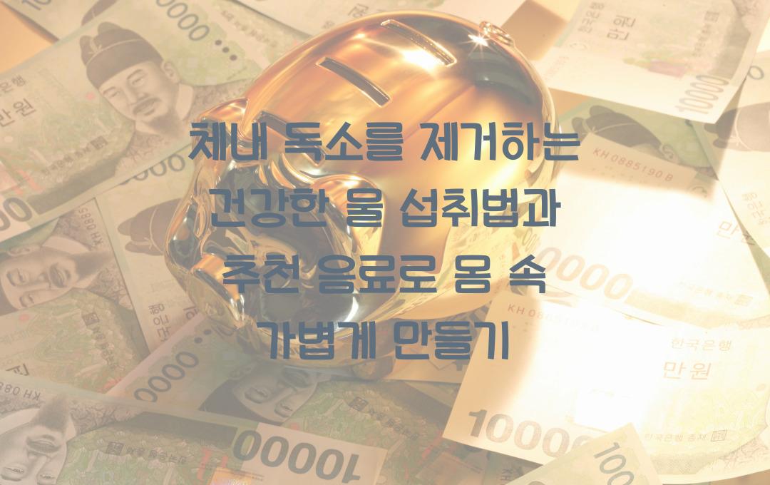 체내 독소를 제거하는 건강한 물 섭취법과 추천 음료