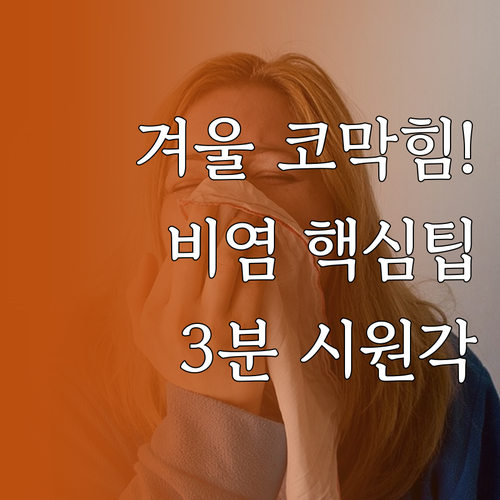 겨울 비염 코막힘 완화 온습도 조절 ..