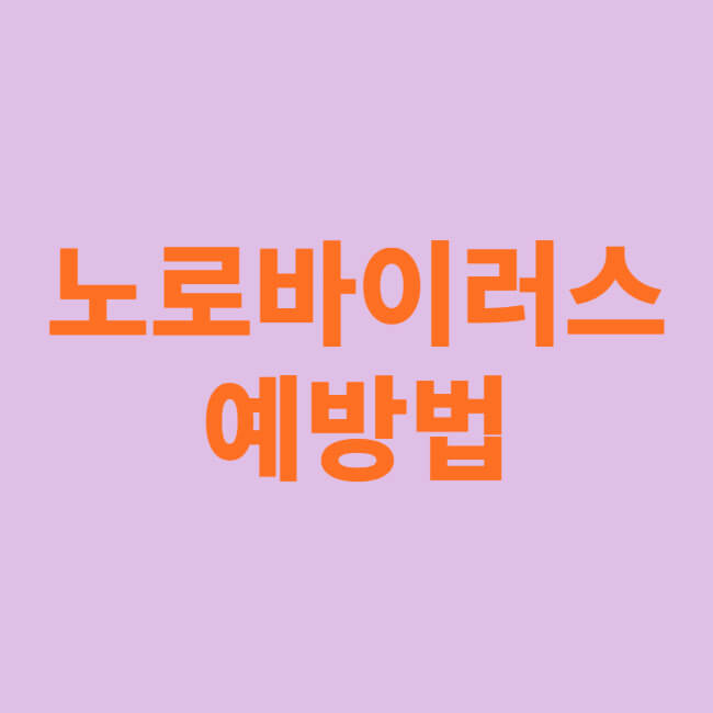 노로바이러스 예방법