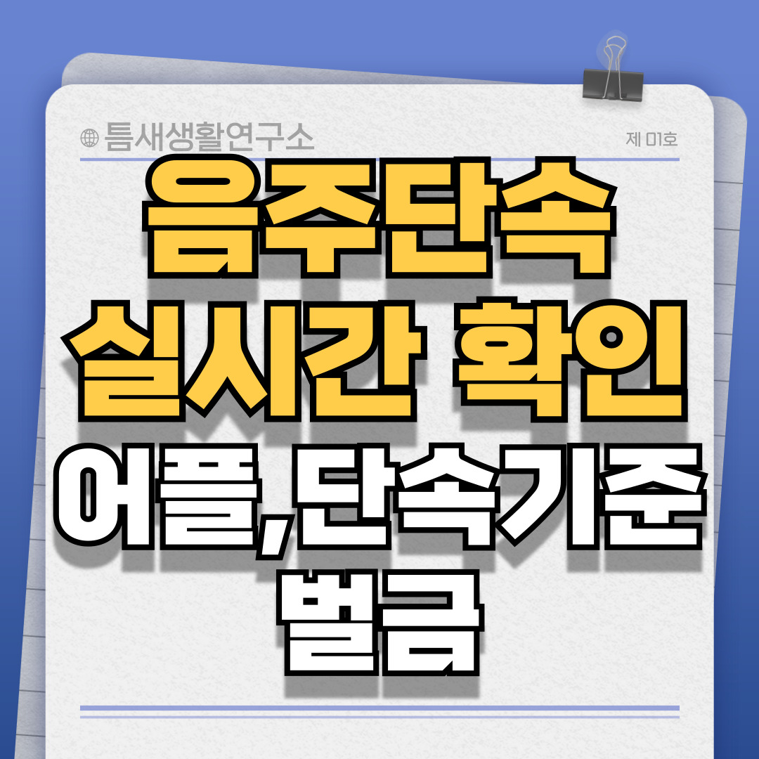 음주단속-실시간확인-썸네일