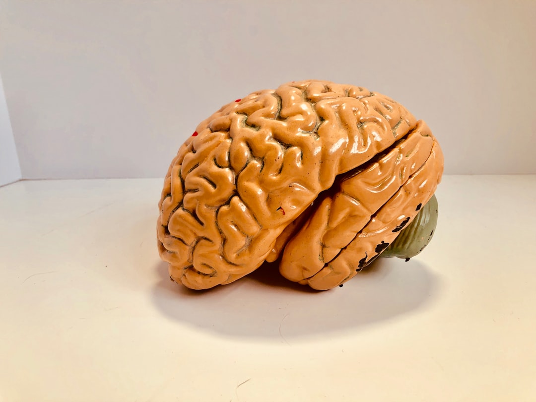 Neuroregeneration