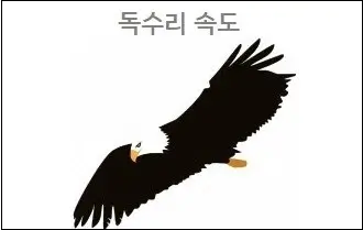 독수리 속도