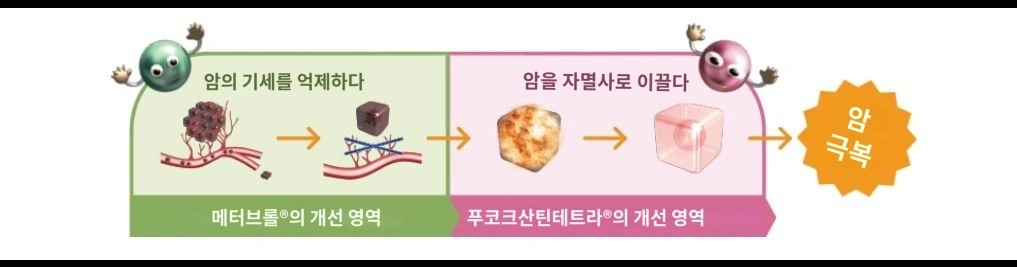 암 치료