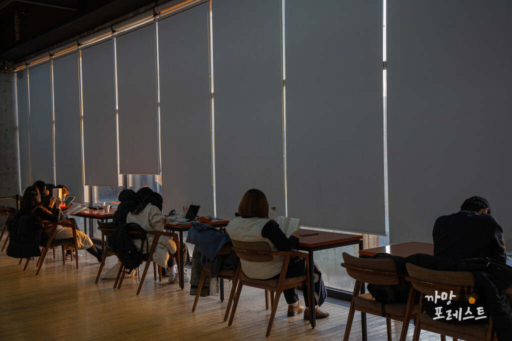 파주 지혜의 숲 독서