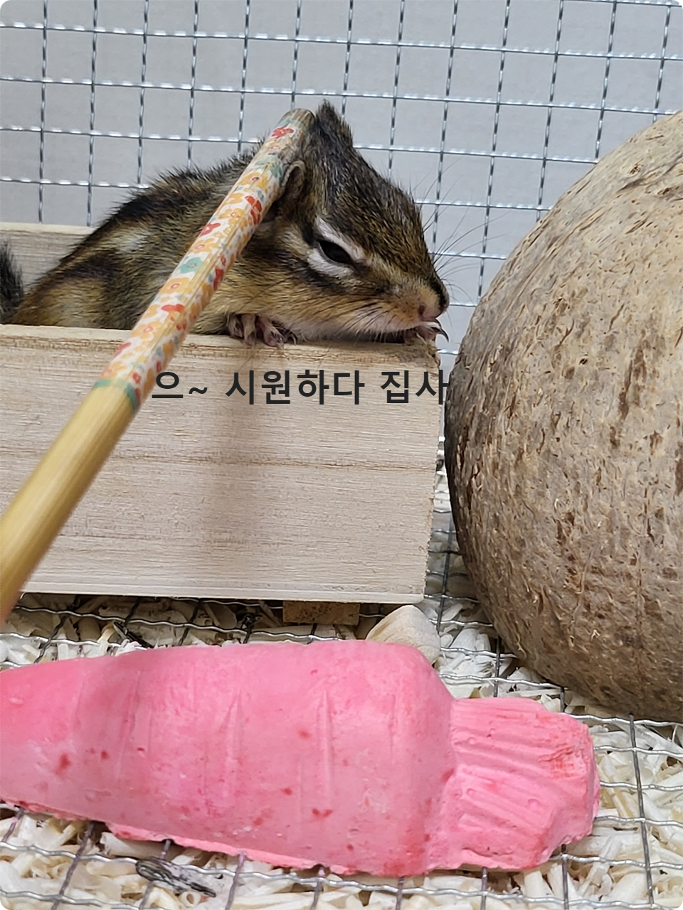 으~ 시원하다~