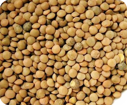 마그네슘이-많은-음식