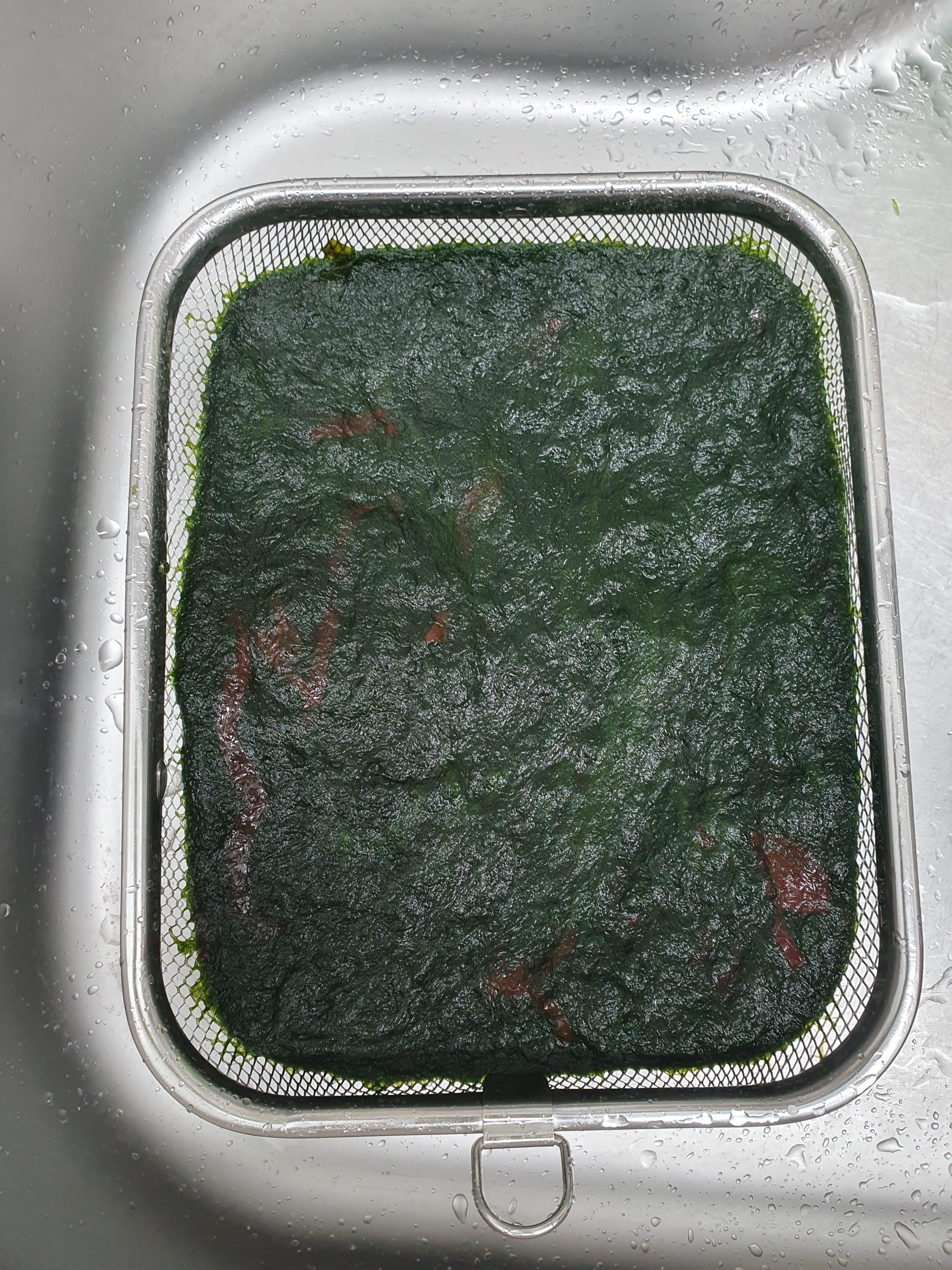 매생이국 칼로리