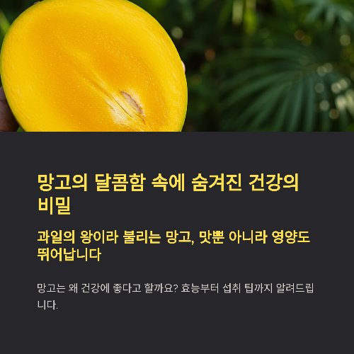 망고, 달콤함 속에 숨겨진 건강의 이점과 주의사항