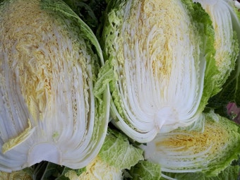 2025년 절임배추 사전예약 꿀팁!