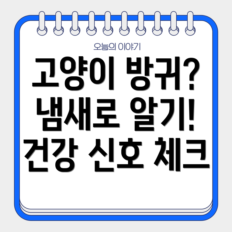 고양이 방귀