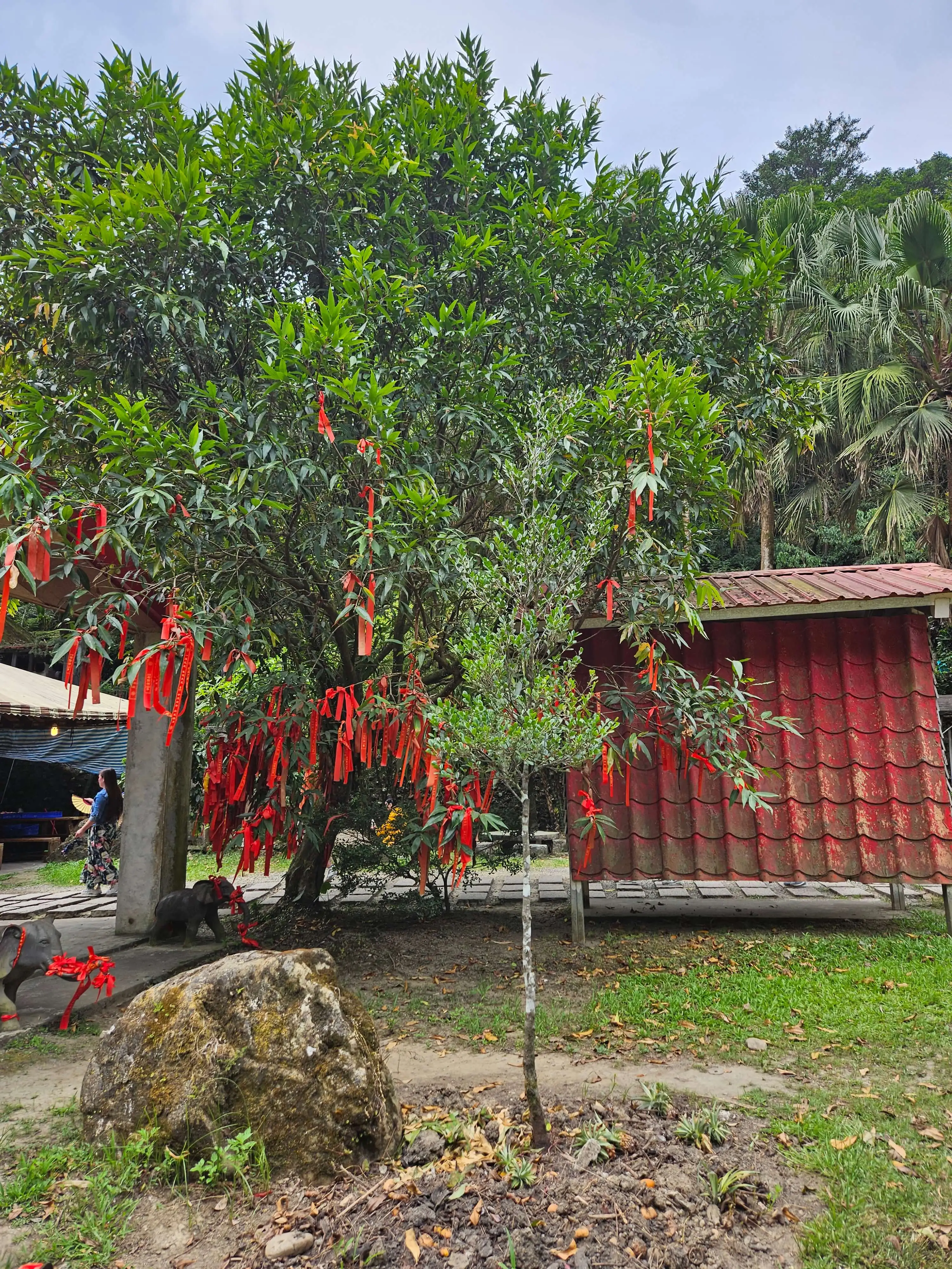 타이베이 근교 택시투어 추천 | 예류·스펀·허우통·진과스·지우펀 하루 루트 정리