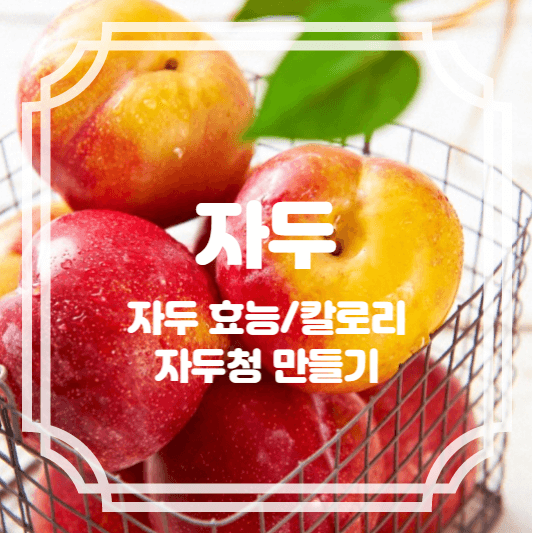 자두 효능 칼로리, 자두청만들기