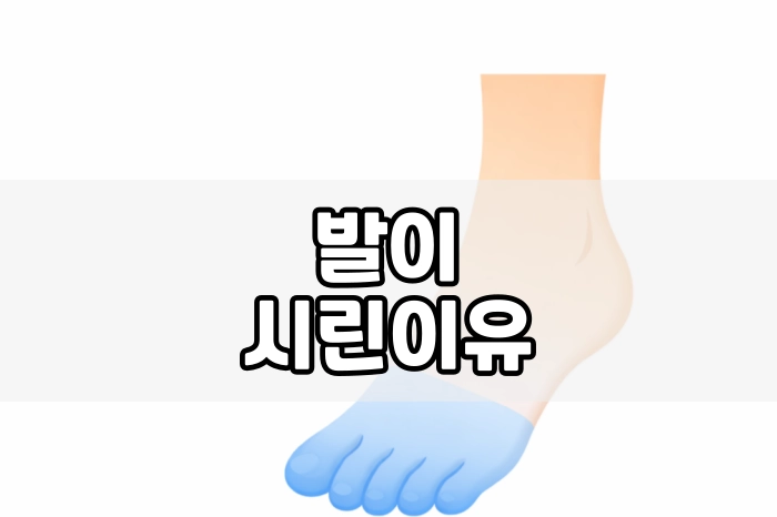 발이 시린 이유