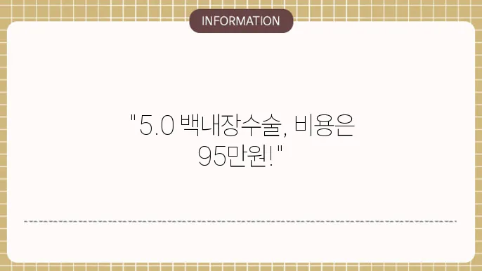 백내장수술 95만원(5.0): 저렴한 비용으로 고품질 치료