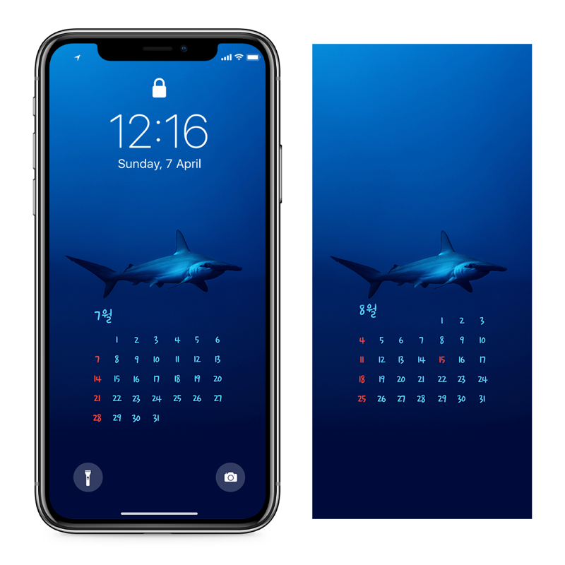 04 심해 상어 AB - 2024년7월 아이폰달력배경화면