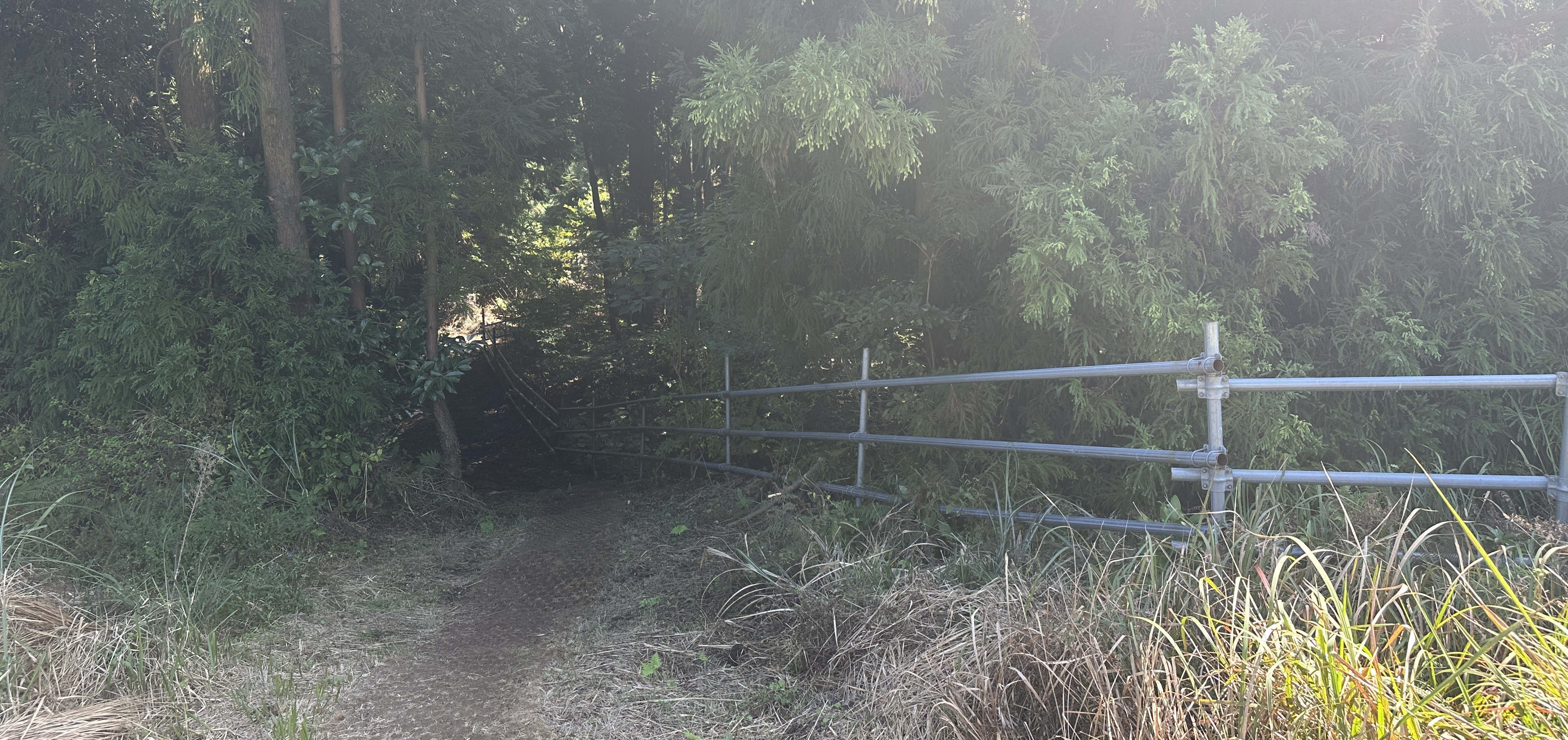 안돌오름 내려가는길