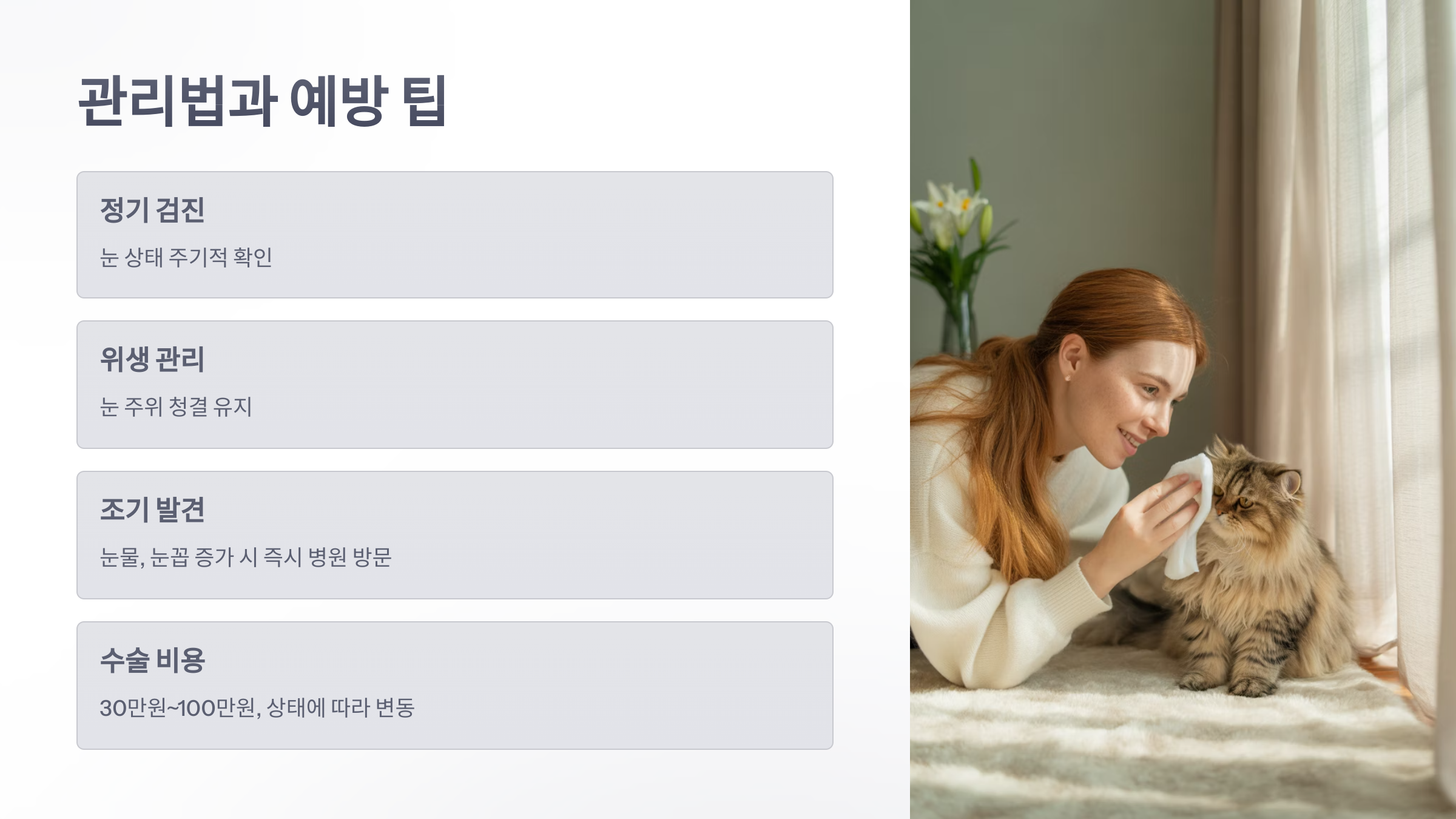 참조-고양이,-안검내반증-5