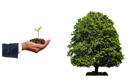 20대가 꼭 알아야 할 재테크 기초