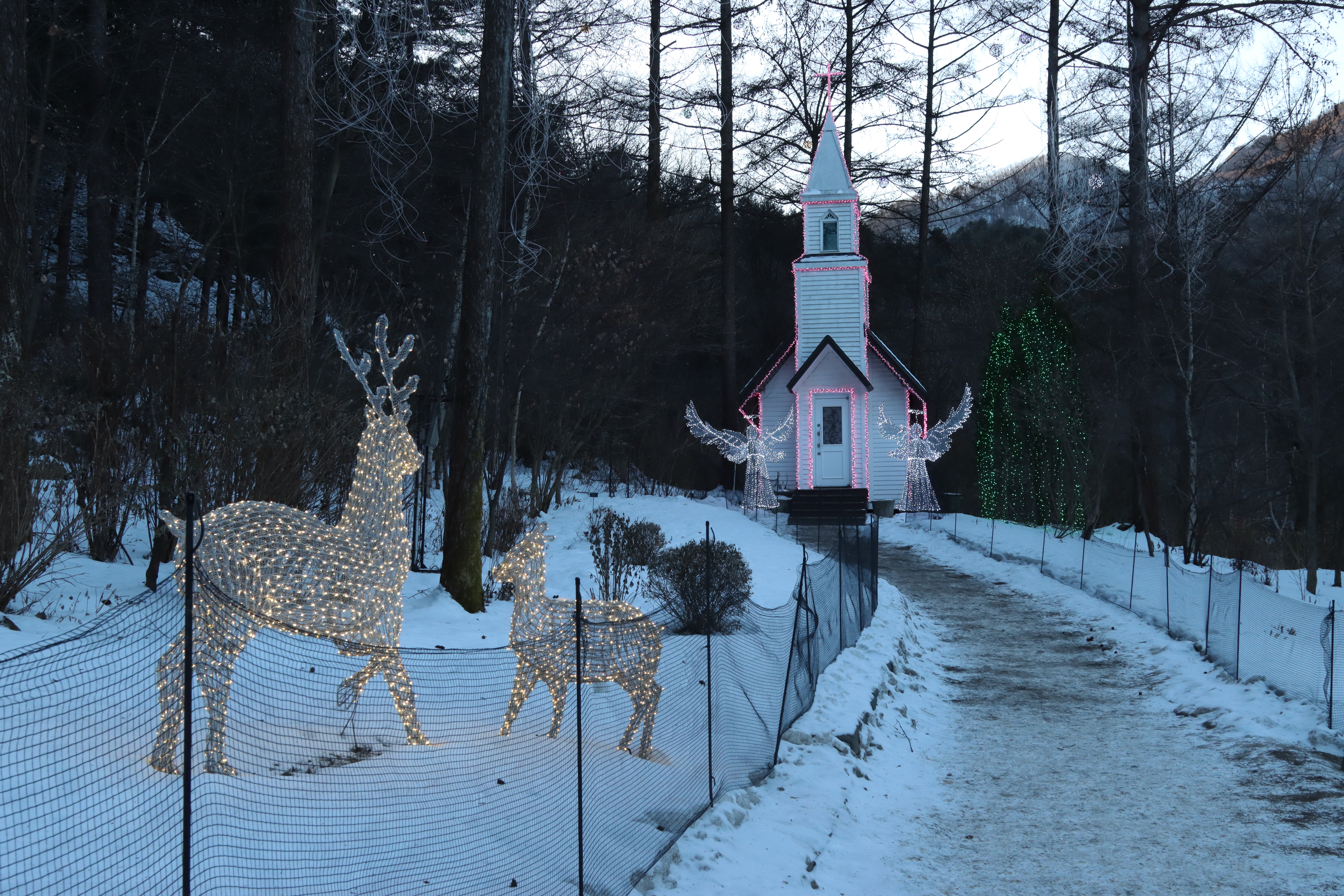 아침고요수목원