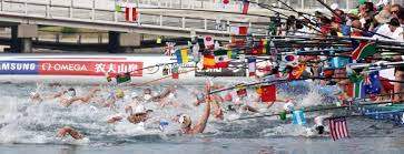 항저우 아시안 게임 수영 중에서 다이빙 아티스틱 스위밍 수구 마라톤수영 선수명단과 일정 그리고 종목 정의 그리고 메달 획득 정리