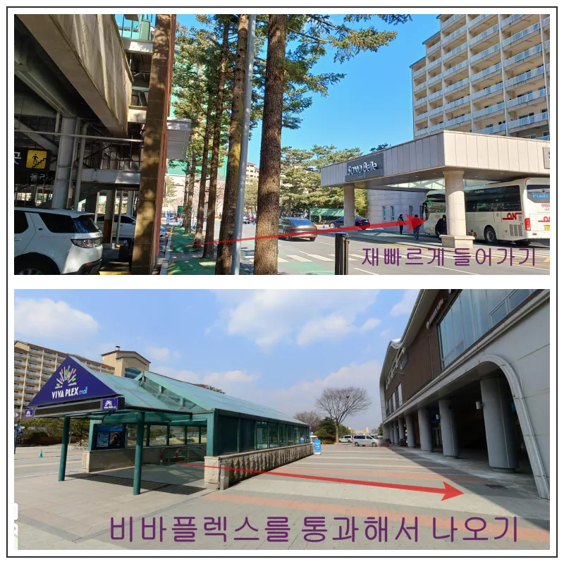 비발디파크-스키장왔을때-주차하는-곳