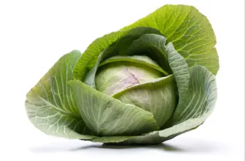 양배추 효능 및 부작용, 영양성분