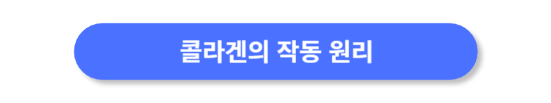 버튼