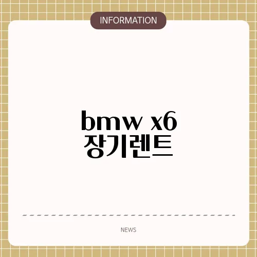 bmw x6 장기렌트