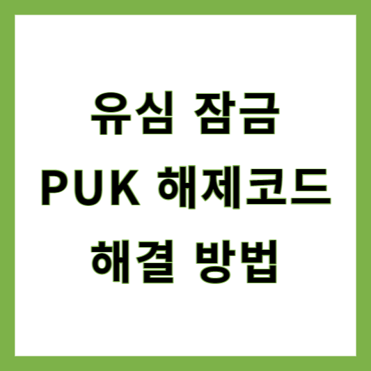 PUK 코드