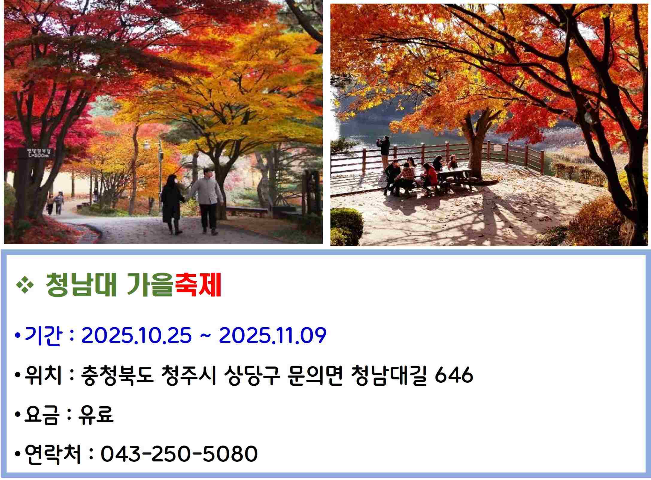 청남대 가을축제