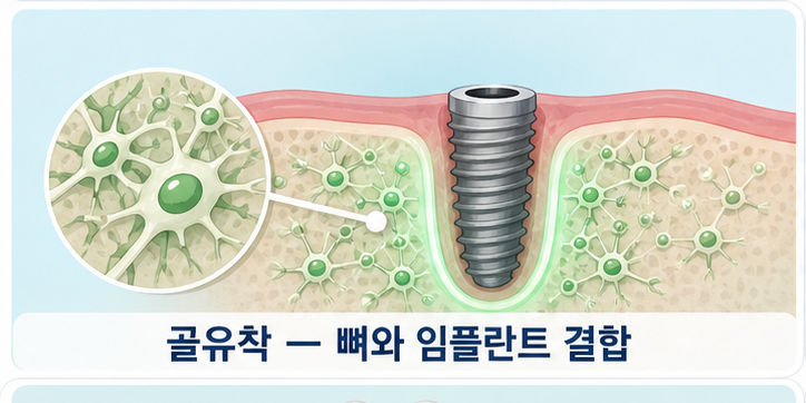 3 골유착