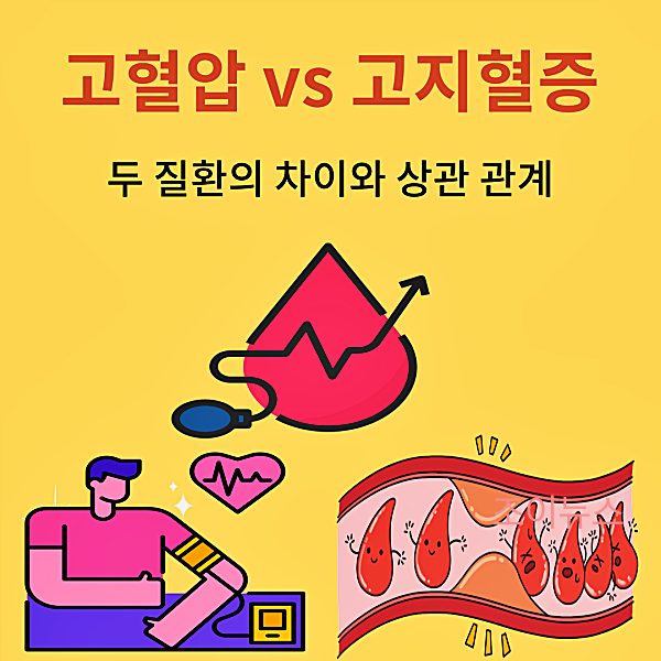 고혈압과 고지혈증의 차이, 관계와 관리법은?