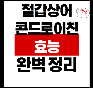철갑상어 콘드로이친