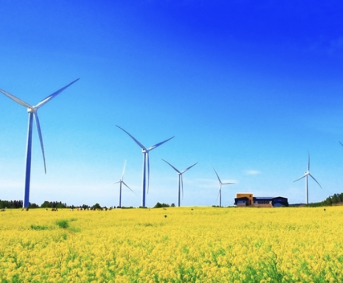 디지털 관광주민증 발급 방법 소개 이미지