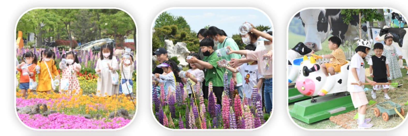 [4월 축제]2025 함평나비대축제｜일정, 기간, 입장권 예매 할인, 입장권 예약 이벤트, 공연, 체험프로그램 총정리