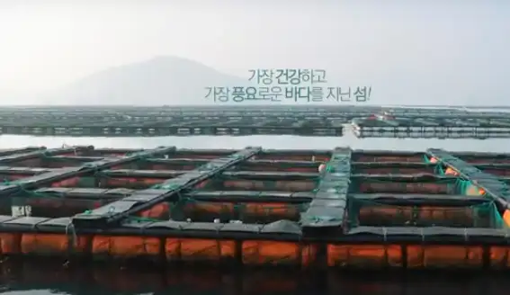 노화도 모습