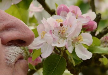 입냄새 없애는 천연 구강유산균|꾸준히 먹고 바뀐 내 입 냄새