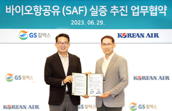SAF 국내시장