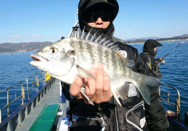 Namhae Autumn Gamsungdom Boat Fishing
