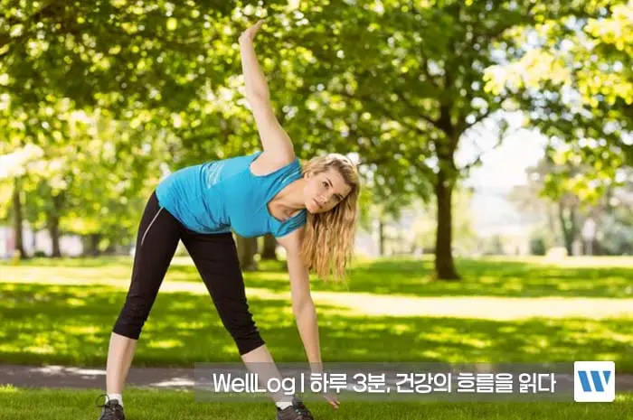 콘드로이친 효능