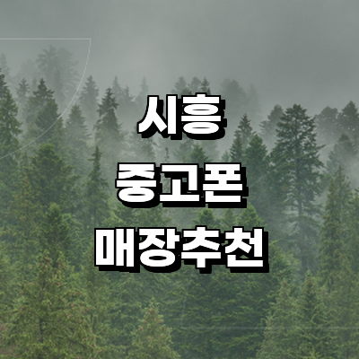 시흥시 중고폰
