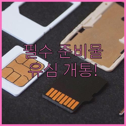 알뜰폰 번호이동 시 필요한 준비물과 ..