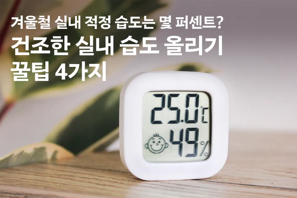 실내 습도 낮추기 젖은 수건 실내 여름철 겨울철 최적 습도_4
