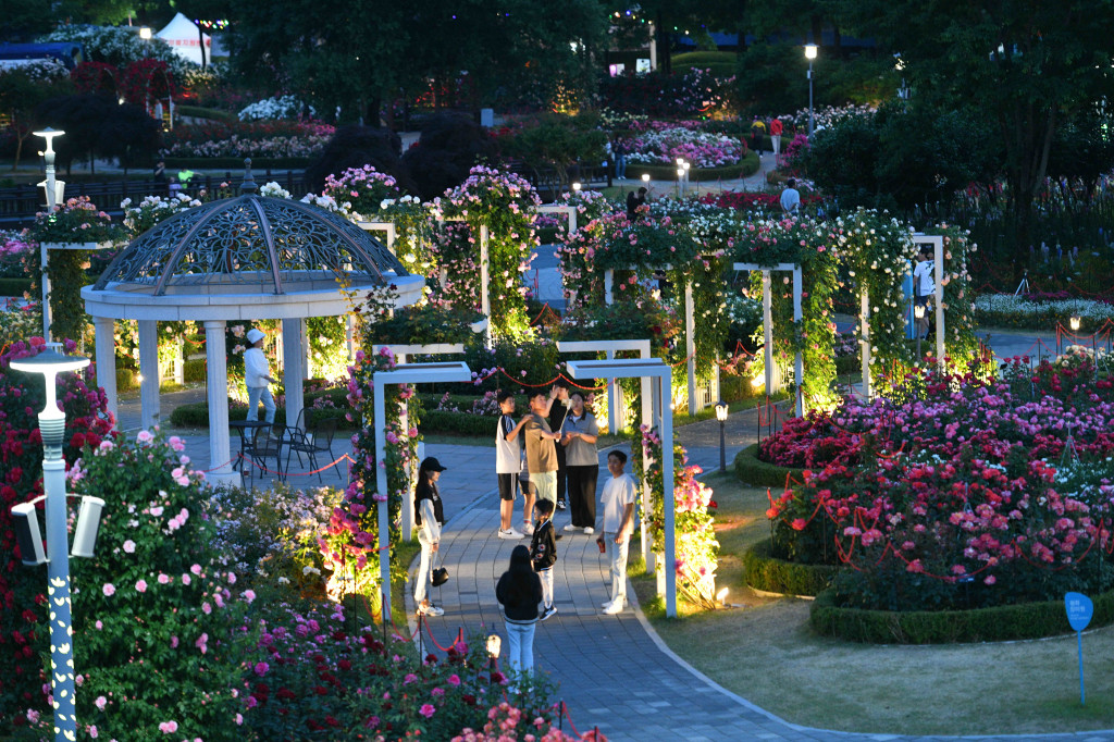 곡성장미축제사진