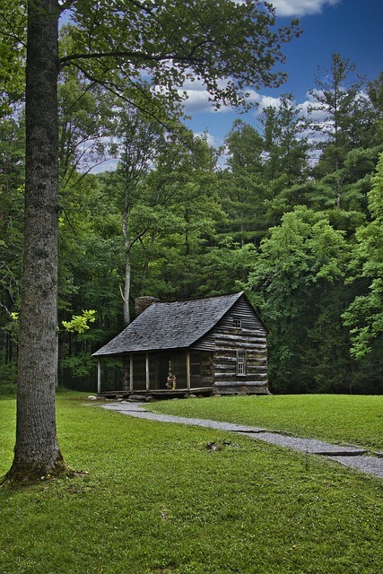덕적도 자연휴양림 예약방법