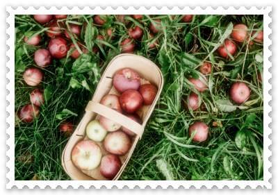 뇌 기능과 정신 건강 향상