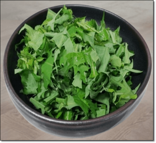 왕고들빼기 생채